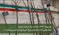 هر نهال، یک داستان زندگی